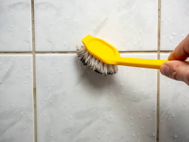 Best Mold Damage Repair  in Tucson, AZ