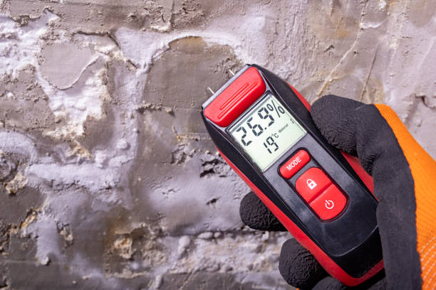 Best Professional Mold Removal  in Tucson, AZ