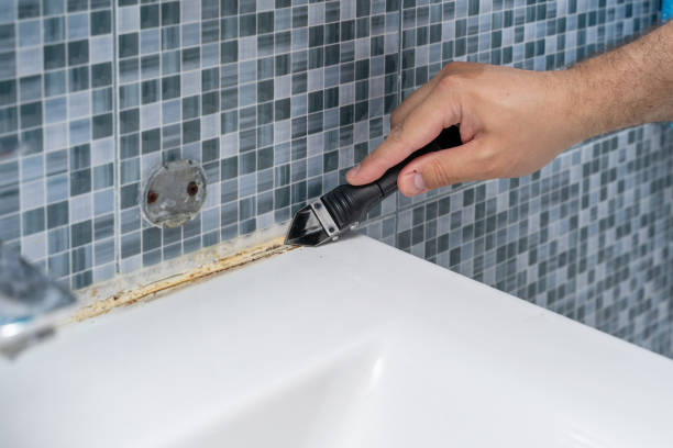 Best Same-Day Mold Removal  in Tucson, AZ